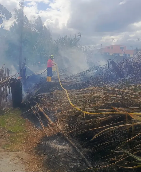 Bomberos apagaron incendio forestal en Guano