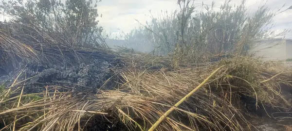 Una vez asegurado el lugar retornaron a su base sin novedades