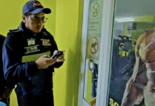 Clausuran gimnasio tras muerte de menor en pelea clandestina