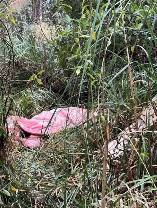 Hombre asesinado a machetazos