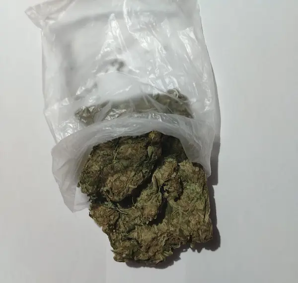 Tras el análisis químico se determinó que era, efectivamente, marihuana