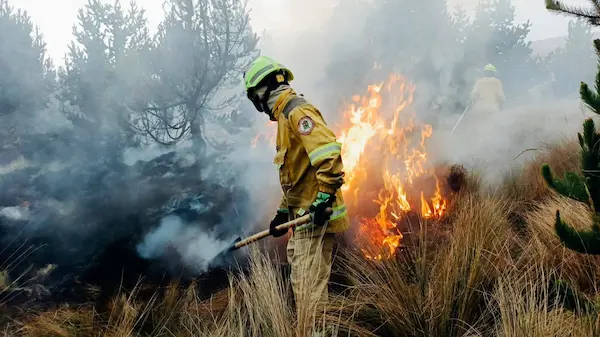 Bomberos de Guamote combatieron incendio forestal en Galte