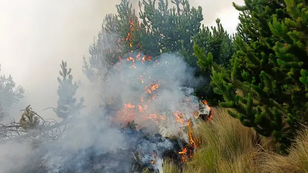 La experiencia y profesionalismo de los 'Caballeros del Fuego' hizo que primero se lo mitigue y luego extinga completamente.