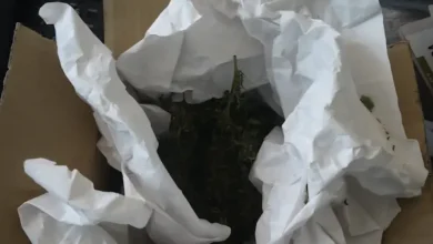 Hombre de Riobamba estará preso 40 meses por drogas