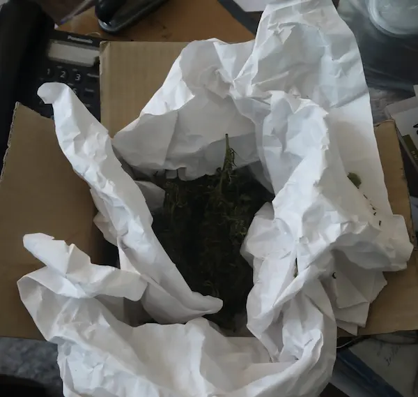 Hombre de Riobamba estará preso 40 meses por drogas