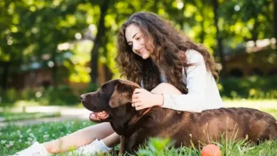 ¿Qué significa siempre acariciar perros en la calle? Según la psicología