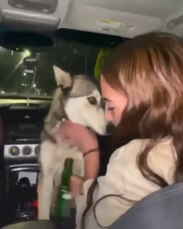 Video viral de abuso a mascota