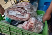 Descubren camal clandestino y planta de oro ilegal en una misma casa