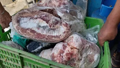 Descubren camal clandestino y planta de oro ilegal en una misma casa