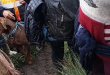 Segundo día de búsqueda del niño desaparecido en el Cerro Puñay