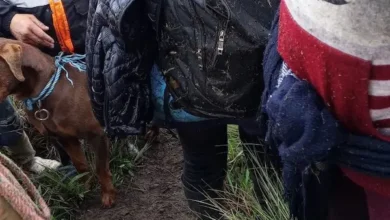 Segundo día de búsqueda del niño desaparecido en el Cerro Puñay