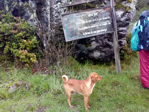 Jachi en sus primeros años