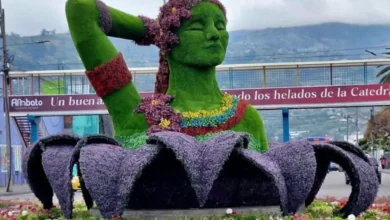 Ambato redondel del estadio Bellavista con 90% de avance.