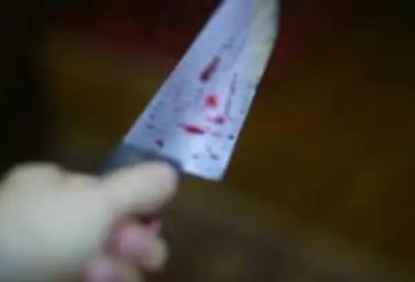 Adolescente de 16 años apuñala a su novio y desaparece