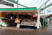 Feria de Navidad de Salcedo será en el Mercado Central.
