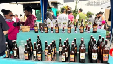 Feria productiva y festival del vino 2025 en Patate.