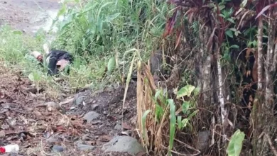 Hombre muere atropellado por un taxi en la vía Macas Taisha.