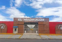 Mercado de Riobamba oferta puestos gratuitos para emprendedores en 2025