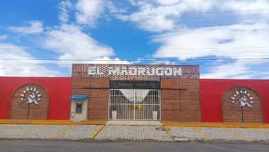 Mercado de Riobamba oferta puestos gratuitos para emprendedores en 2025