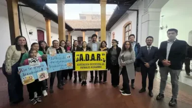 Municipio Riobamba debate ordenanza para sancionar el maltrato animal