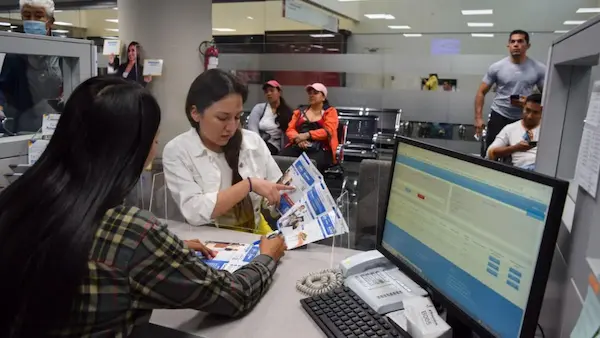 Procedimiento en línea para la novación del Biess