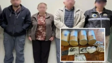 Ecuador y Colombia desarticulan red de tráfico de químicos