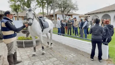 Show Cuarto de Milla AQHA Ecuador 2025 será en Riobamba en 'Macají'