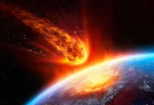 Científicos estiman la próxima gran extinción masiva en la Tierra