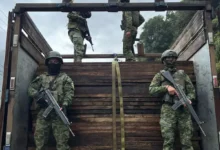 Ejército ecuatoriano decomisa 300 tablones de madera ilegal