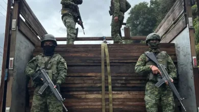 Ejército ecuatoriano decomisa 300 tablones de madera ilegal