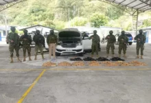 Ejército incauta 132 kilos de droga en operativo