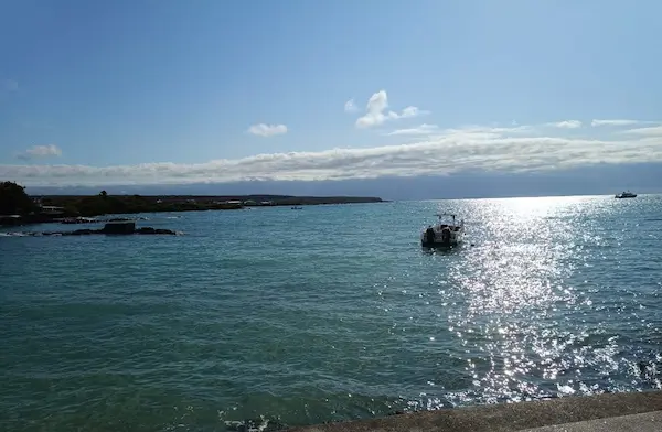 La Armada del Ecuador encontró los cuerpos en altamar