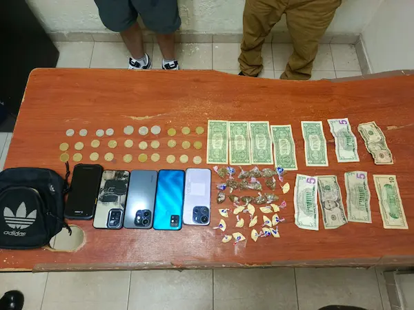 Evidencias encontradas durante la acción policial