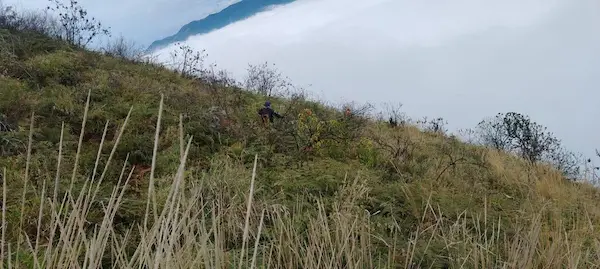 El terreno es muy irregular, y demanda mucho cuidado