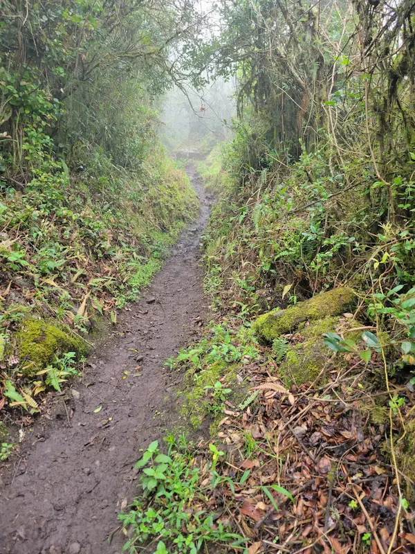 Uno de los caminos que conducen a la cima, precisamente el sendero Puñay