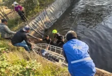 2 niños fallecen al caer en tanque de riego en Guamote