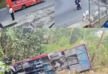 Bus con 25 pasajeros se precipita a un abismo