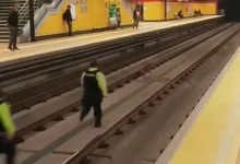 Metro de Quito detenido por una persecución animal