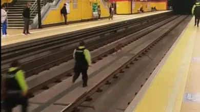 Metro de Quito detenido por una persecución animal