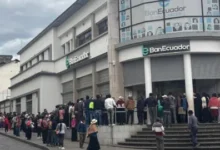 Bono Raíces entregó USD 12,2 millones en 2025: ¿seguirá el programa?