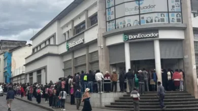 Bono Raíces entregó USD 12,2 millones en 2025: ¿seguirá el programa?