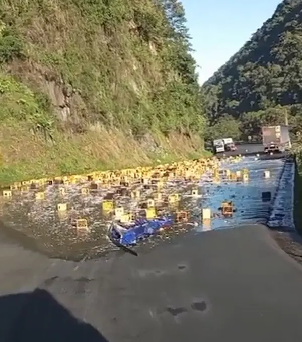 Camión cargado de cerveza sufre accidente y bloquea la vía