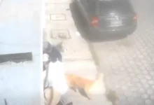 Video | Nueva modalidad de robo en Riobamba