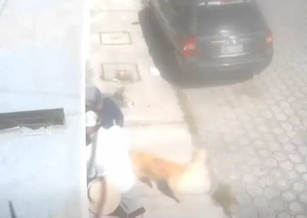 Video | Nueva modalidad de robo en Riobamba