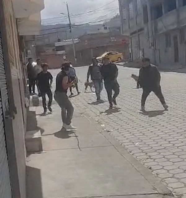 Video | Pelea de vecinos en Riobamba por disturbios