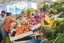 IVA se mantendrá en 15 % en 2026 y crecimiento tributario en 2025