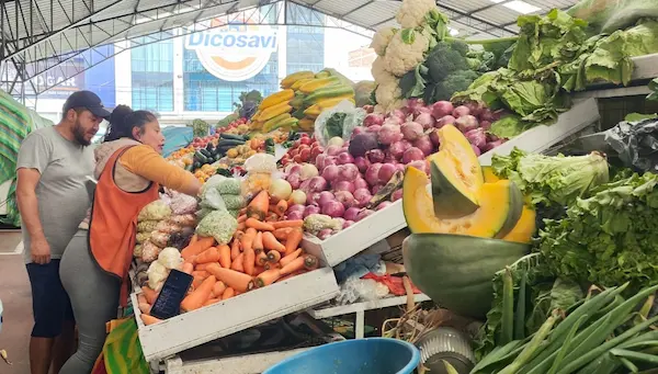 IVA se mantendrá en 15 % en 2026 y crecimiento tributario en 2025