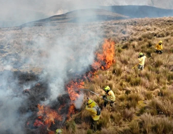 Latacunga registra 10 incendios y 1300 hectáreas afectadas.