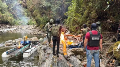 Limón Indanza Ejército desarticula campo de minería ilegal.