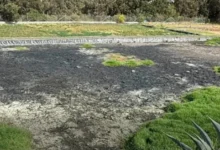 Salcedo Habitantes de Chipualó exigen obras municipales.